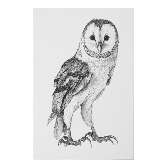 Barn Owl - Drawing In Black Pen Faux Canvas Print (Front)