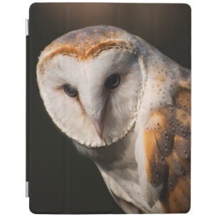 Barn owl eyes iPad smart cover
