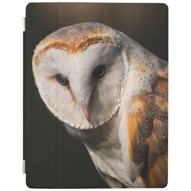 Barn owl eyes iPad smart cover (Front)