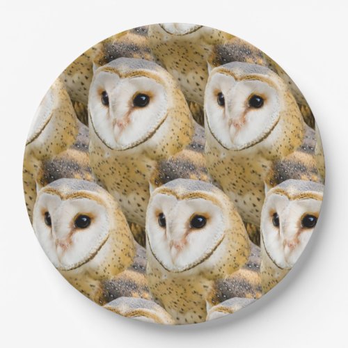 Barn Owl Faces Paper Plates