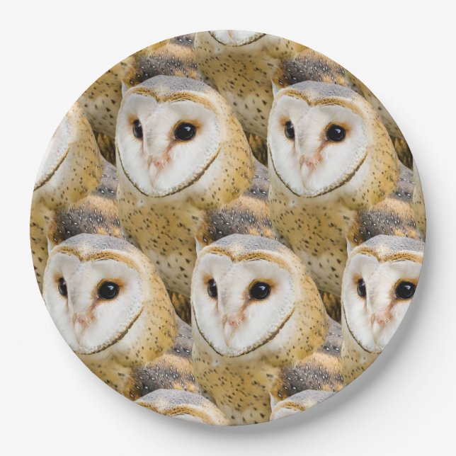 Barn Owl Faces Paper Plates (Front)