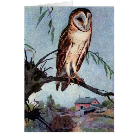 Barn Owl, Farmhouse and Barn Cards (Front)