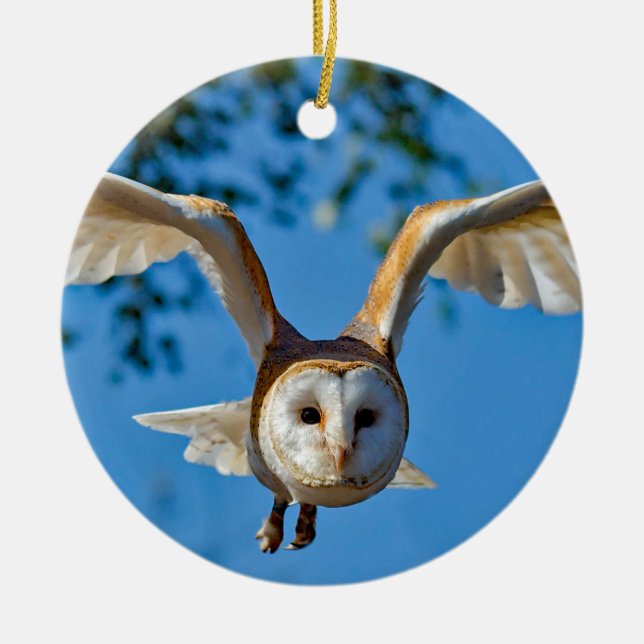 Barn Owl Flight Photo Ceramic Ornament (Front)