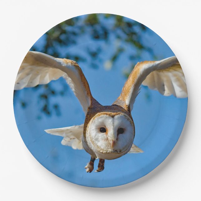 Barn Owl Flight Photo Paper Plates (Front)
