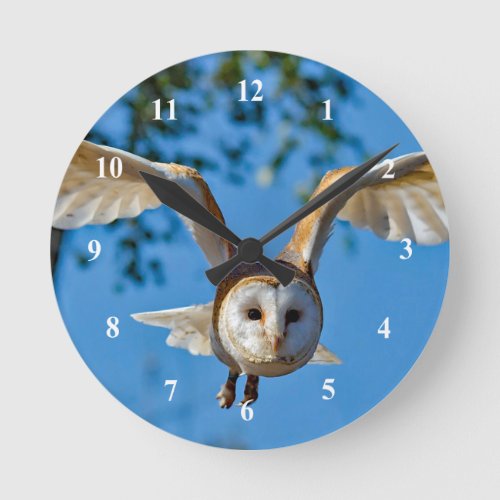 Barn Owl Flight Photo Round Clock