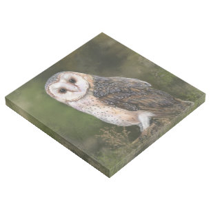 Barn Owl Gallery Wrap