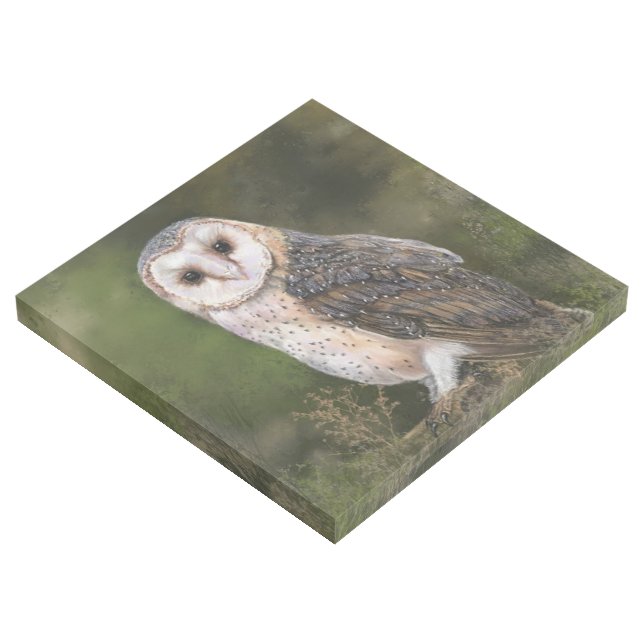 Barn Owl Gallery Wrap (3/4)