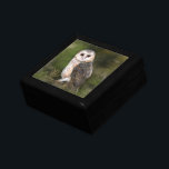 Barn Owl Gift Box<br><div class="desc">Western Barn Owl Gift Boxes - MIGNED Painting</div>