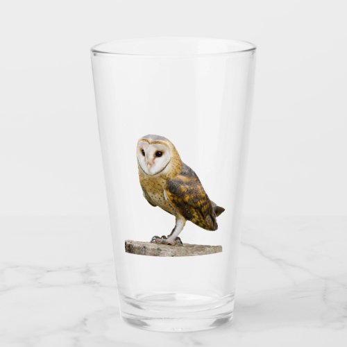 Barn Owl Glass