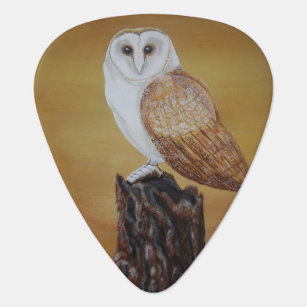 Barn Owl Guitar Pick