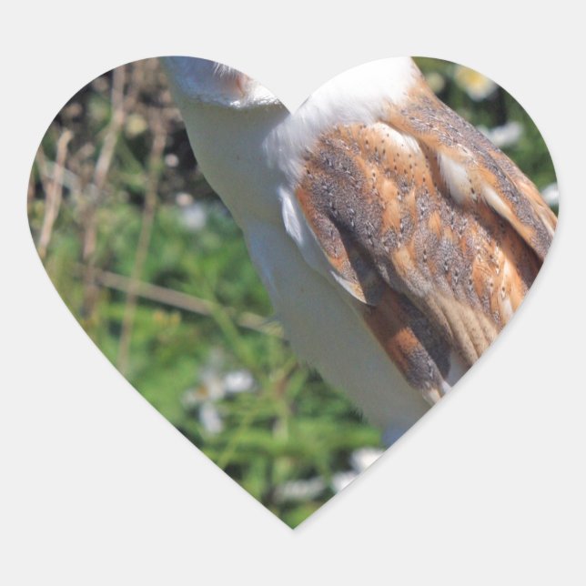 Barn Owl Heart Sticker (Front)
