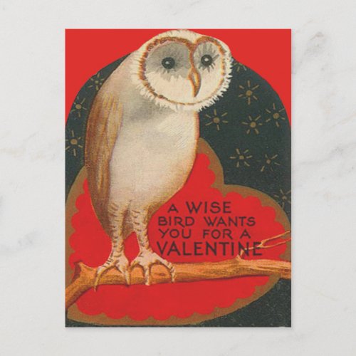 Barn Owl Heart Tree Stars Valentine Holiday Postcard