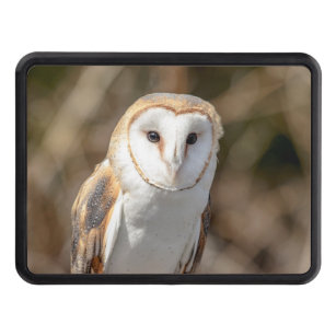 Barn Owl Hitch Cover