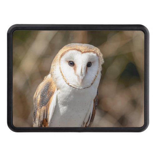 Barn Owl Hitch Cover