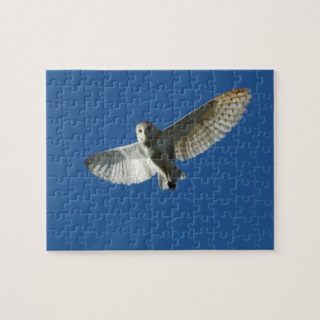 Barn Owl in Daytime Flight Jigsaw Puzzle (Horizontal)