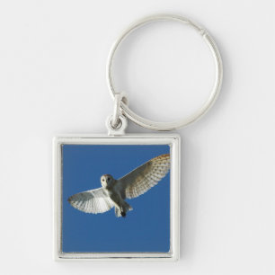 Barn Owl in Daytime Flight Keychain