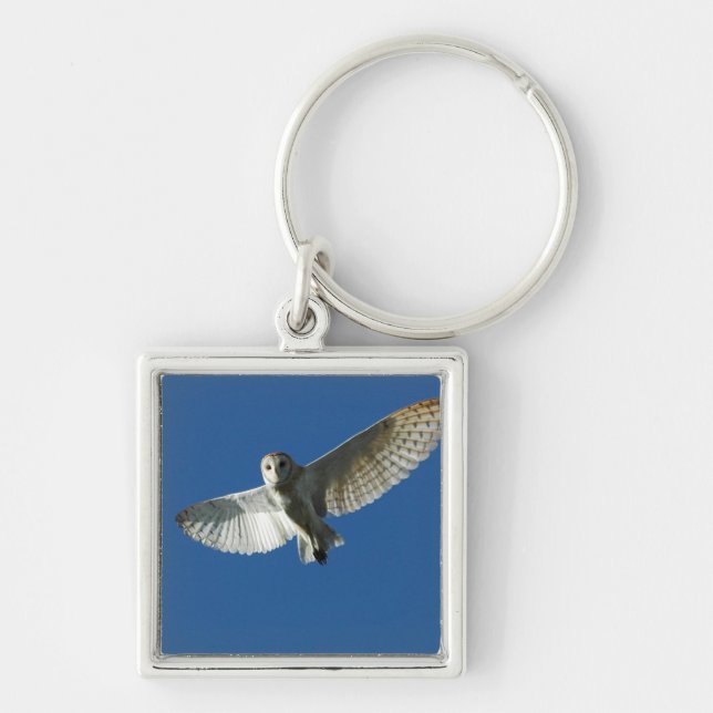 Barn Owl in Daytime Flight Keychain (Front)