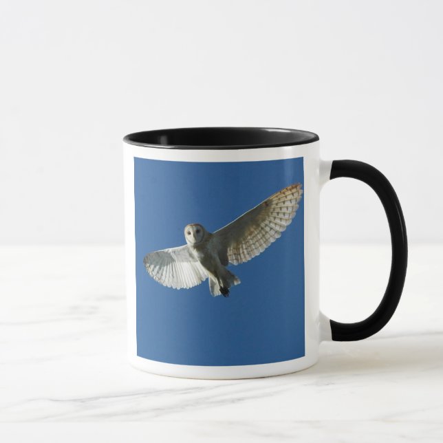 Barn Owl in Daytime Flight Mug (Right)