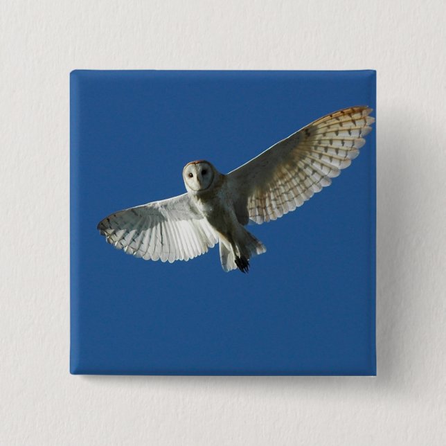 Barn Owl in Daytime Flight Pinback Button (Front)