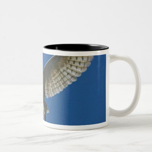 Barn Owl in Daytime Flight Two_Tone Coffee Mug