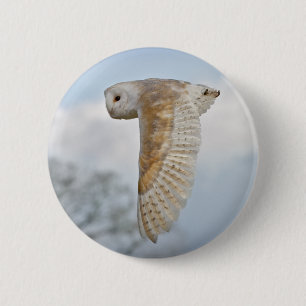 Barn Owl in Flight Badge Pinback Button