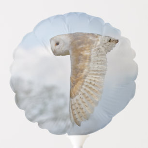 Barn Owl in Flight Balloon