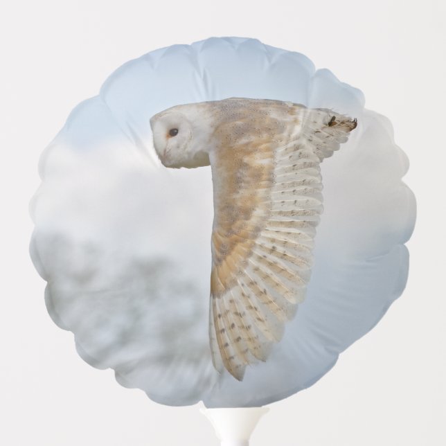 Barn Owl in Flight Balloon (Front)