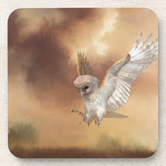 Barn Owl in Flight Coaster