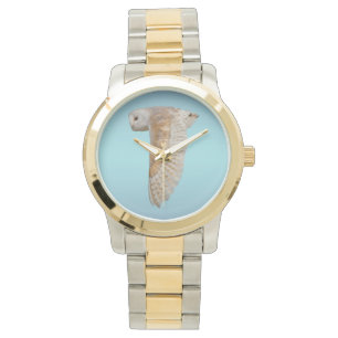 Barn Owl in Flight Watch (Sky Blue Mix)