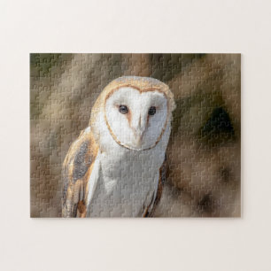 Barn Owl Jigsaw Puzzle