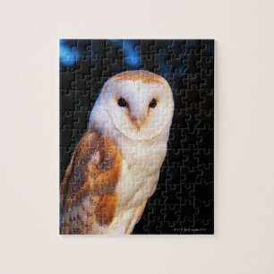 Barn Owl Jigsaw Puzzle