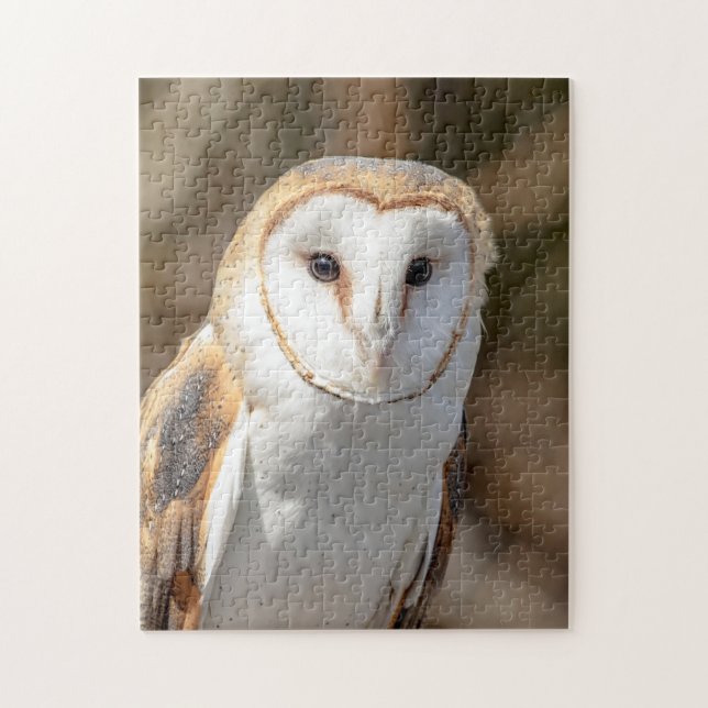 Barn Owl Jigsaw Puzzle (Vertical)