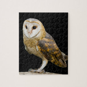 Barn Owl Jigsaw Puzzle