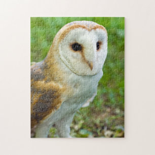 Barn Owl Jigsaw puzzle