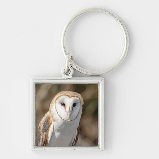 Barn Owl Keychain (Front)
