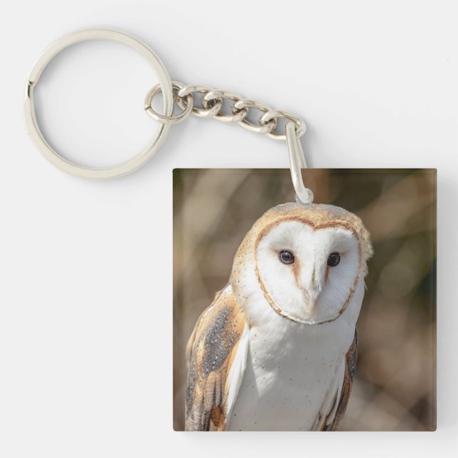 Barn Owl Keychain (Front)
