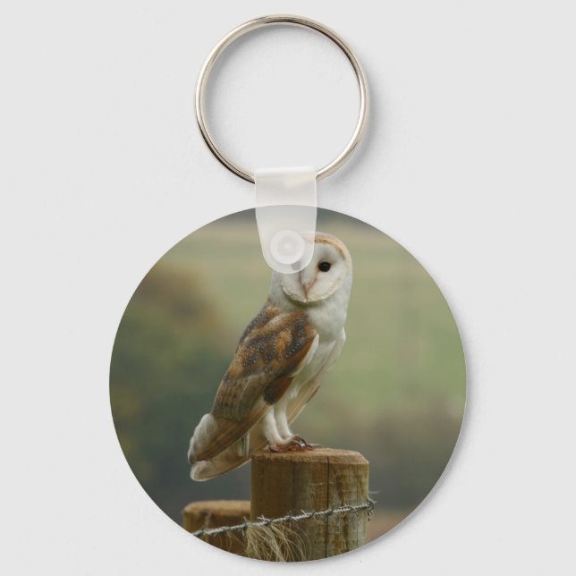 Barn Owl keyring (Front)