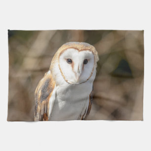 Barn Owl Kitchen Towel