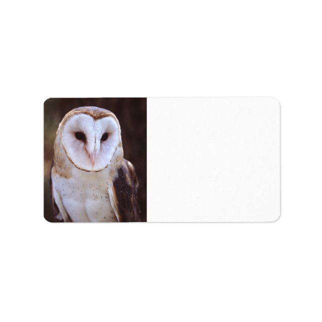 barn owl label (Front)