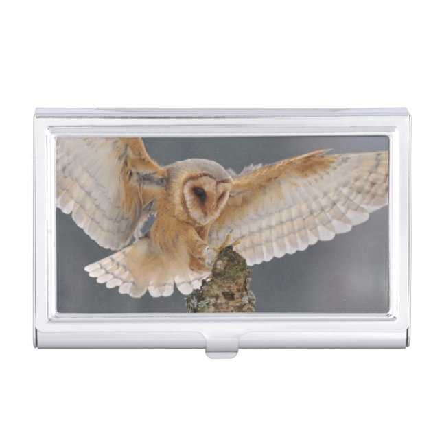 Barn owl landing to spike business card holder (Front)