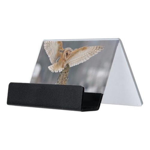Barn owl landing to spike desk business card holder