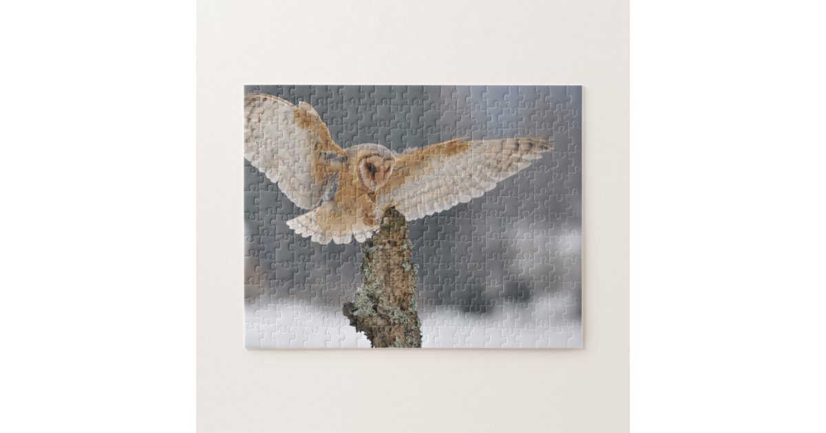 Barn Owl Landing To Spike Jigsaw Puzzle Zazzle Com