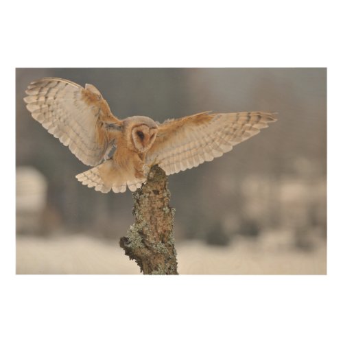 Barn owl landing to spike wood wall decor