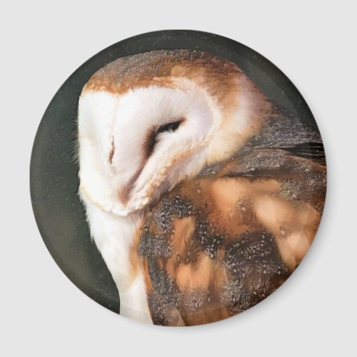 BARN OWL MAGNET