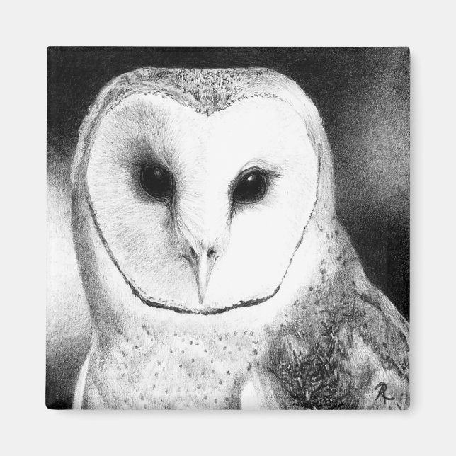 Barn Owl Magnet - "Grayson" (Front)