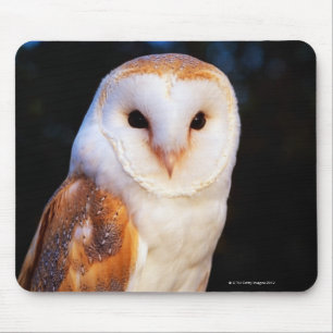 Barn Owl Mouse Pad