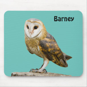 Barn Owl Mouse Pad