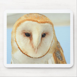 Barn owl mouse pad