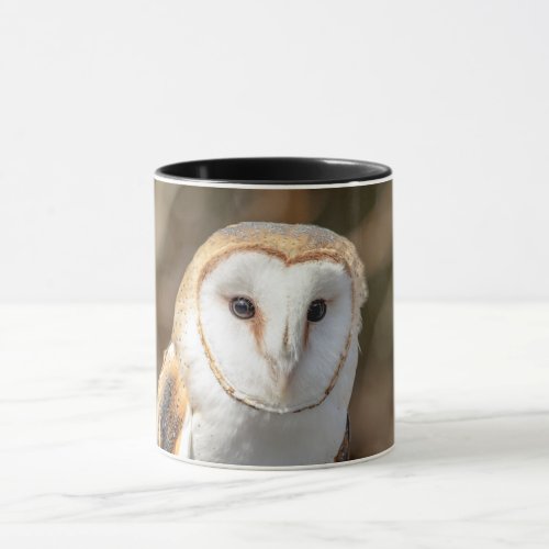 Barn Owl Mug