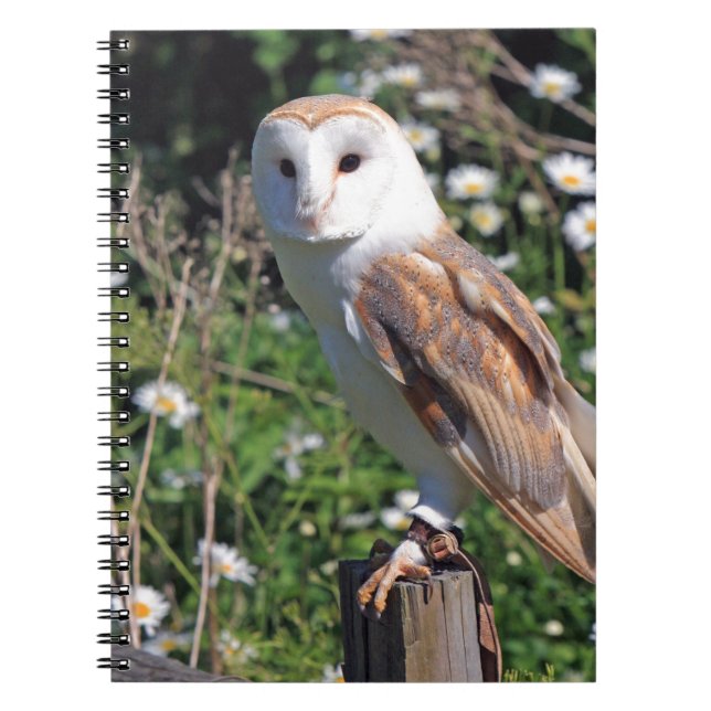 Barn Owl Notebook (Front)